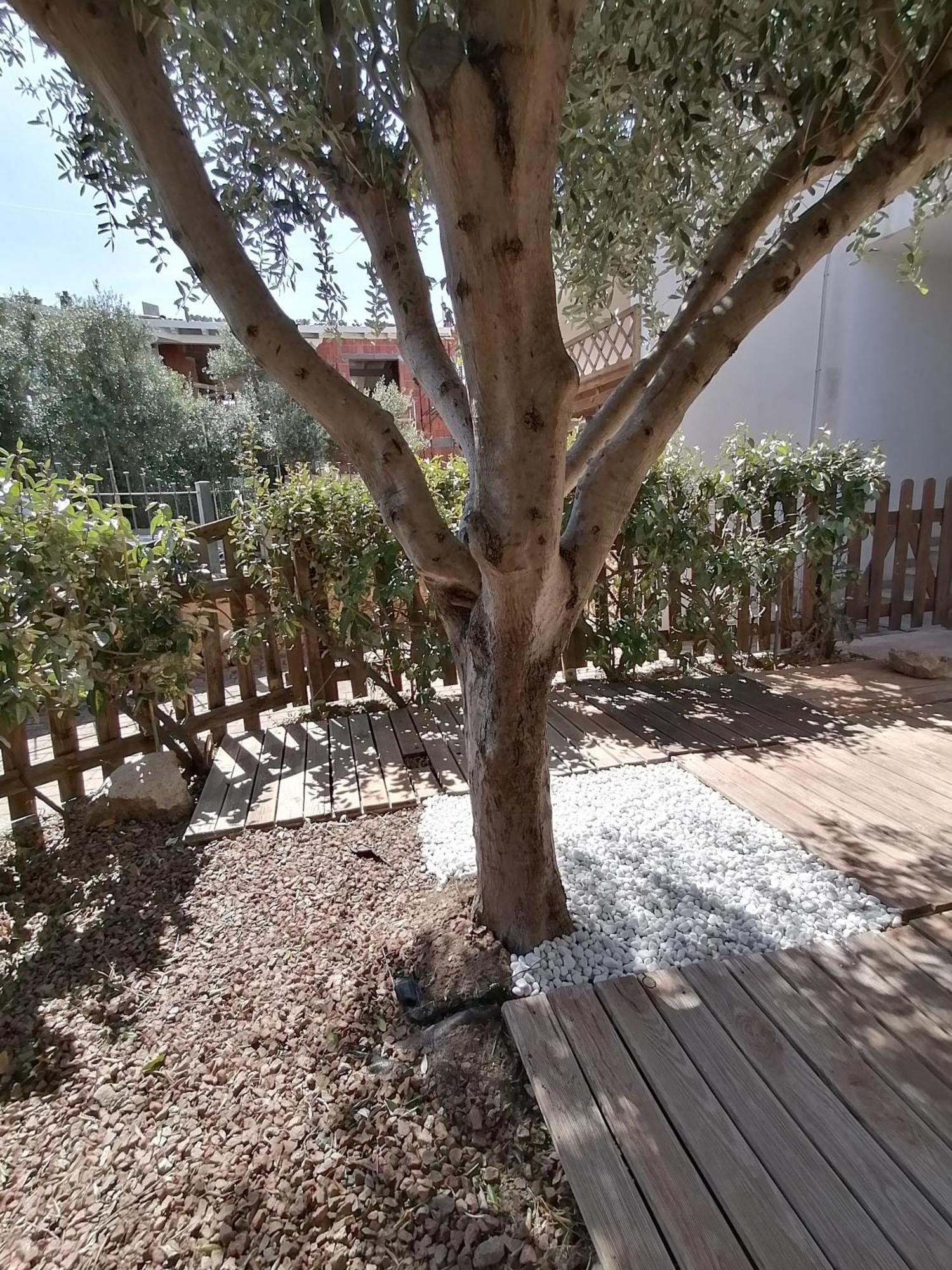 Sardamare Apartments Appartamenti La Ciaccia 발레도리아 객실 사진